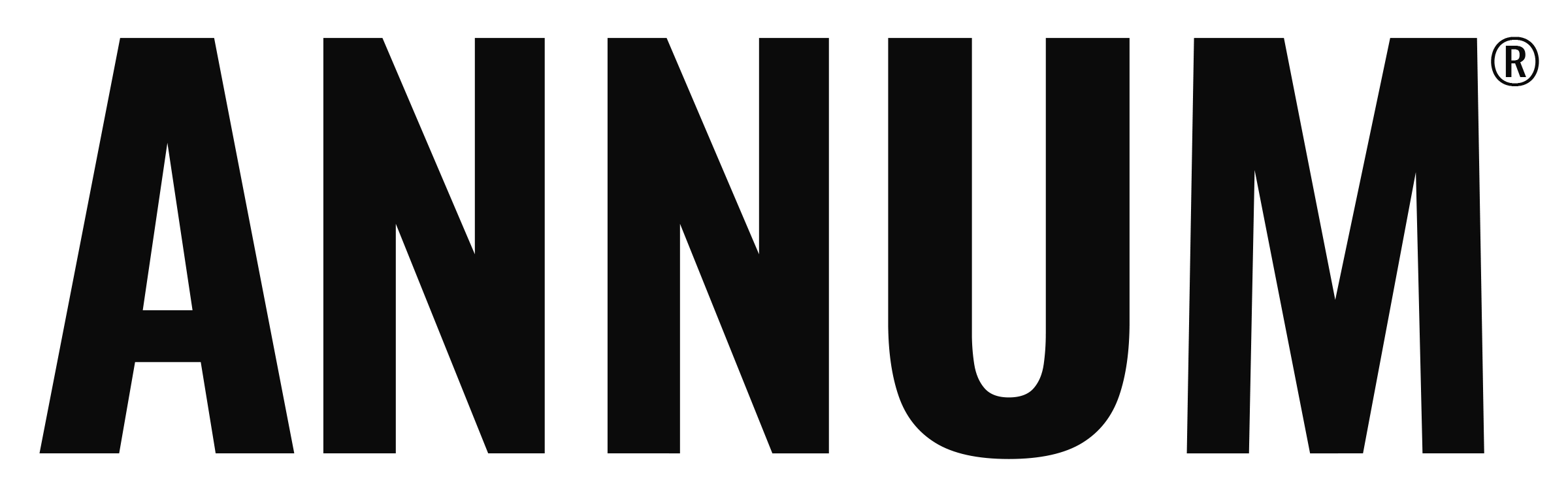Annum logo
